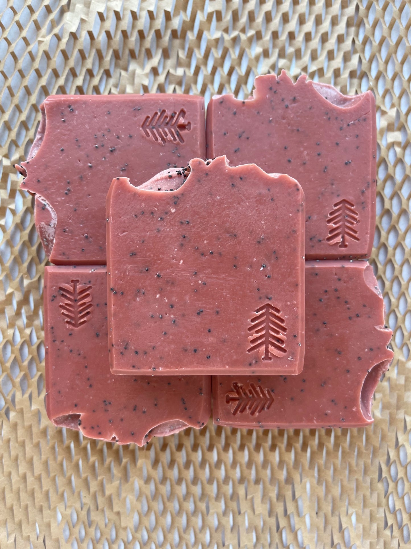Watermelon Sugar – Exfoliating Bar