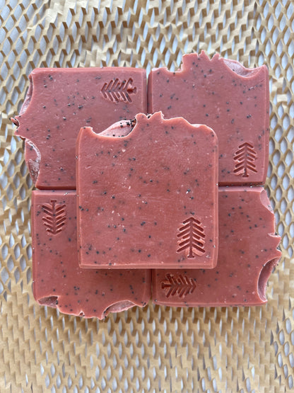 Watermelon Sugar – Exfoliating Bar